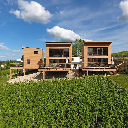 Cottages Antoinette Chigny-les-Roses Extérieur photo
