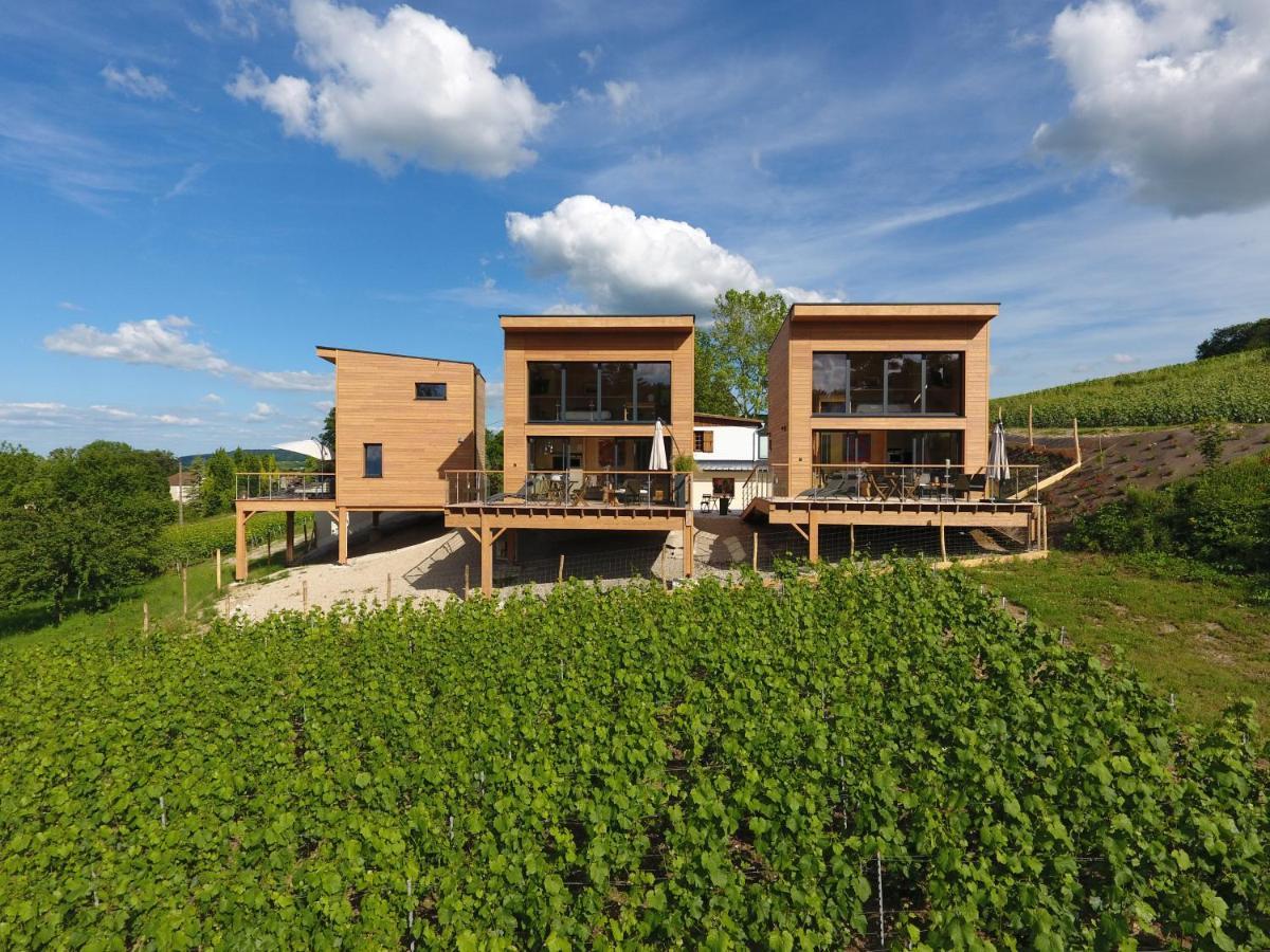 Cottages Antoinette Chigny-les-Roses Extérieur photo