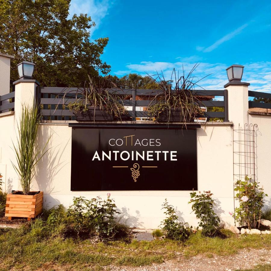 Cottages Antoinette Chigny-les-Roses Extérieur photo