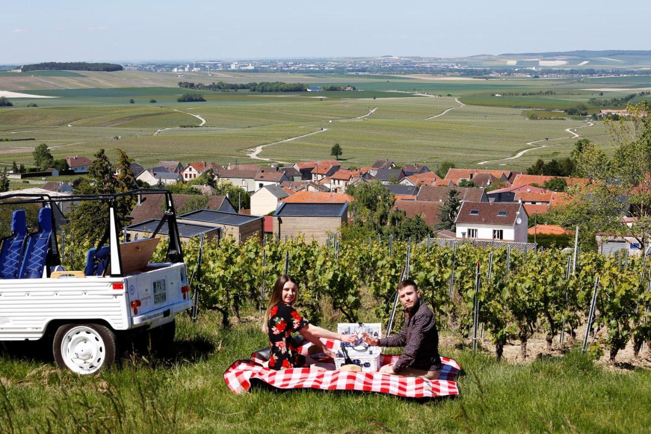 Cottages Antoinette Chigny-les-Roses Extérieur photo