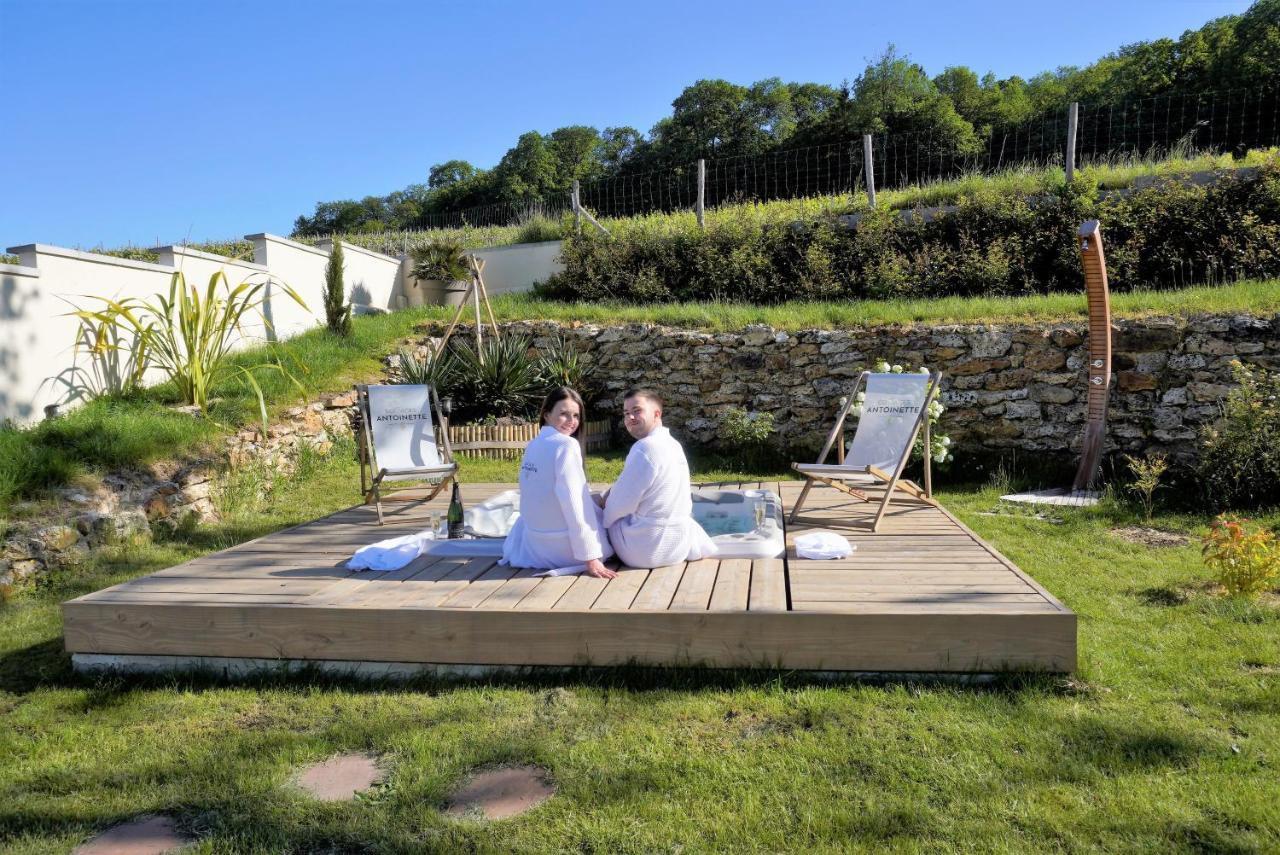 Cottages Antoinette Chigny-les-Roses Extérieur photo