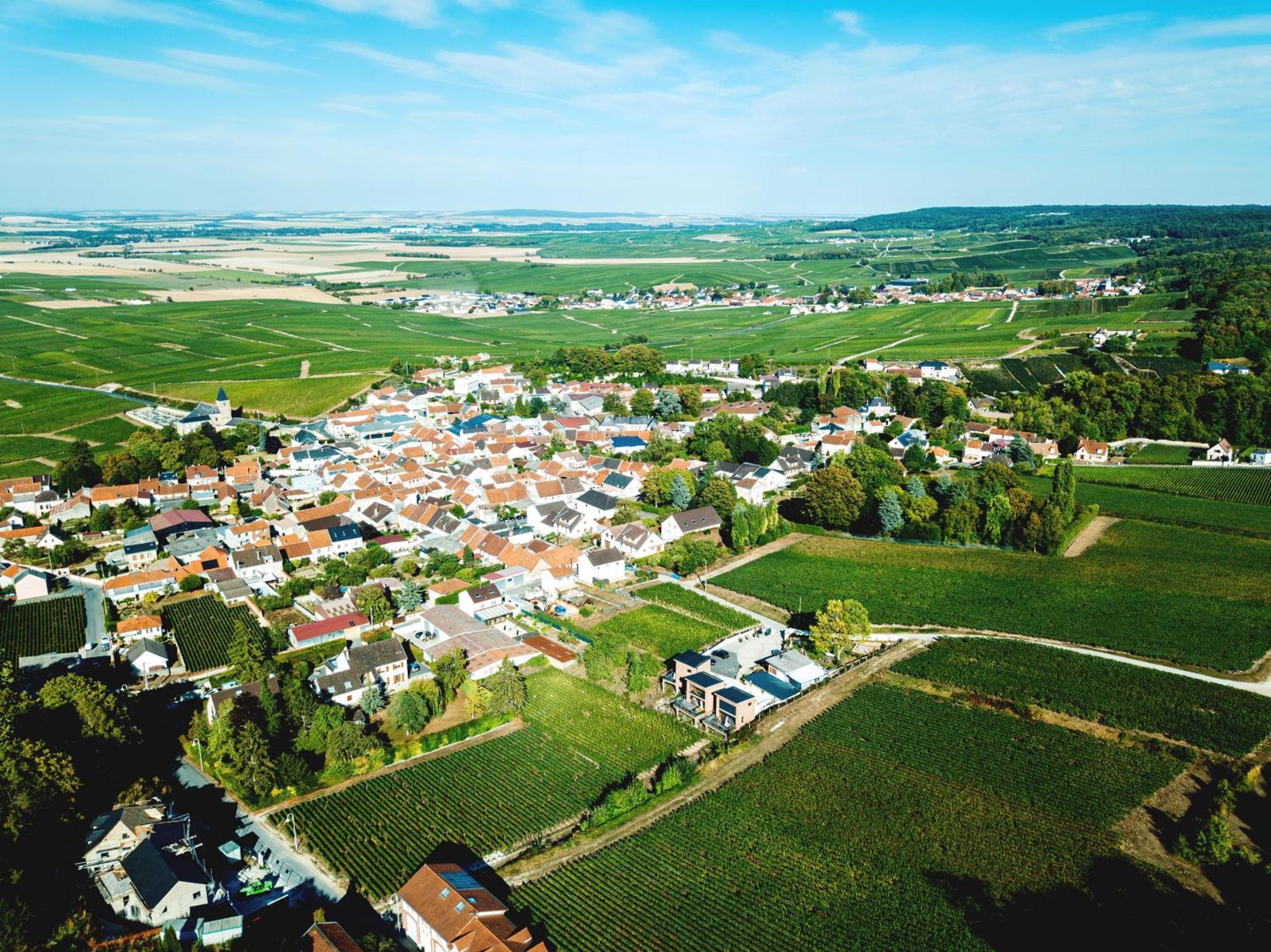 Cottages Antoinette Chigny-les-Roses Extérieur photo