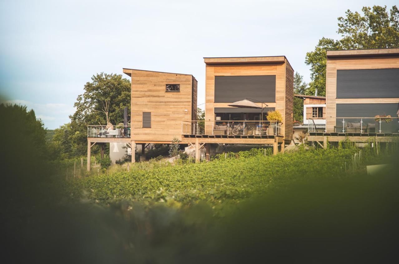Cottages Antoinette Chigny-les-Roses Extérieur photo