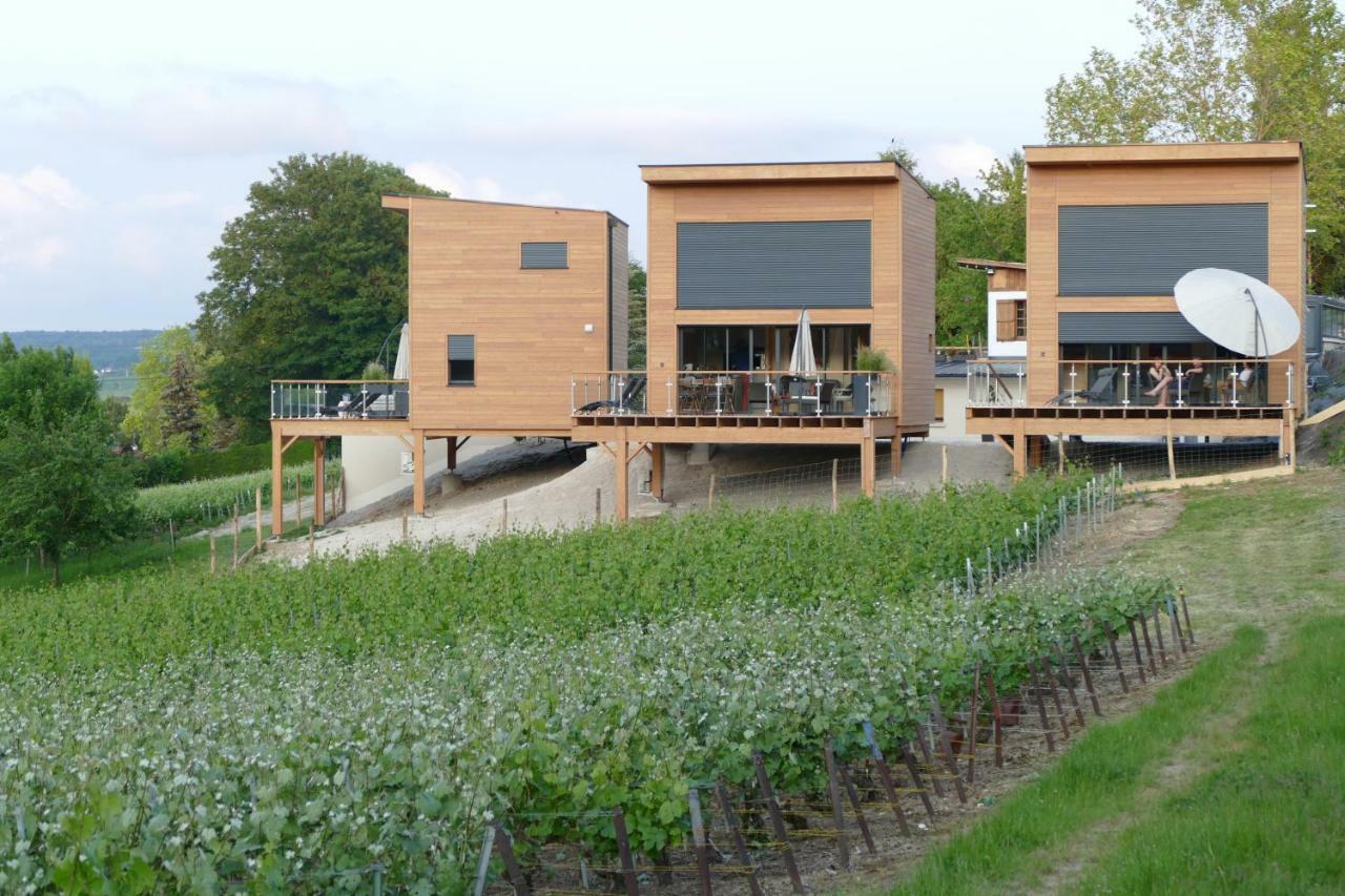 Cottages Antoinette Chigny-les-Roses Extérieur photo