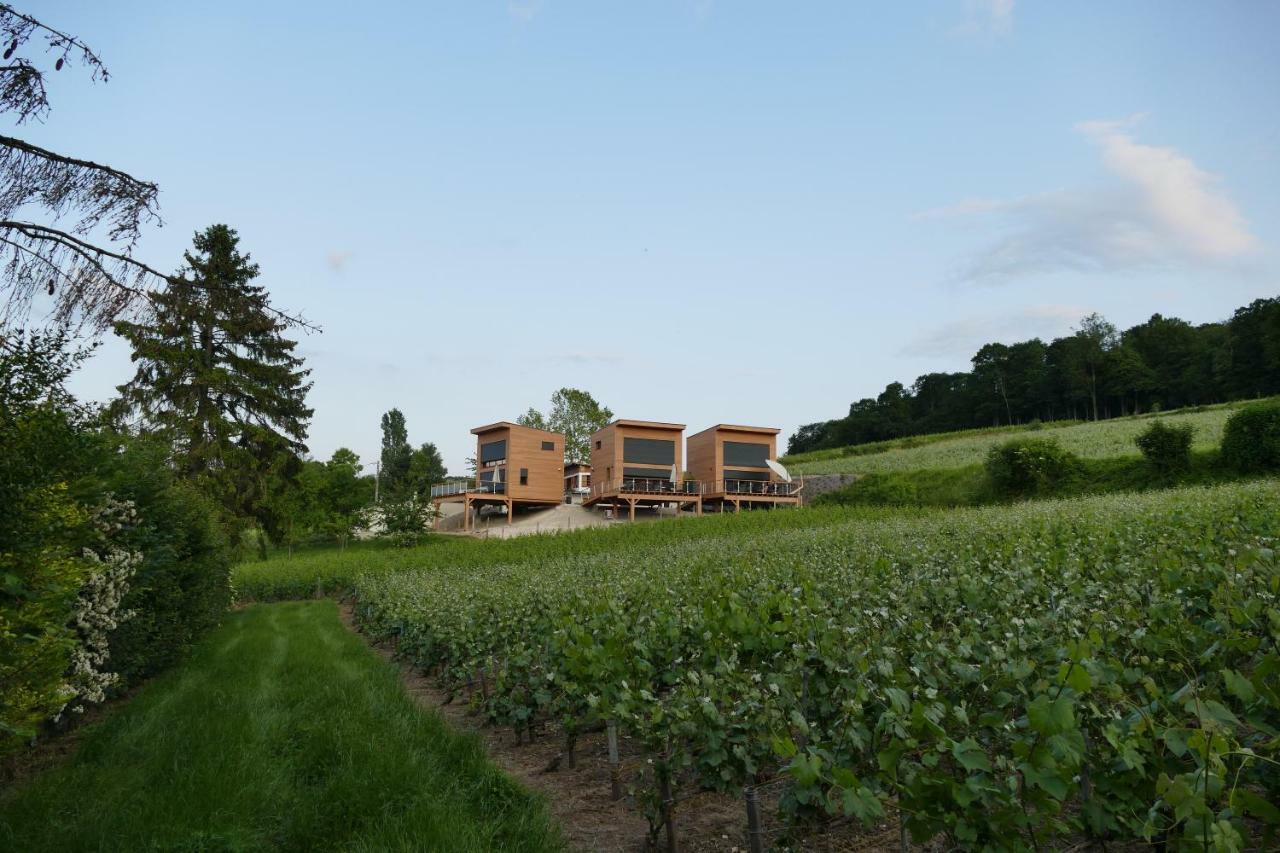 Cottages Antoinette Chigny-les-Roses Extérieur photo