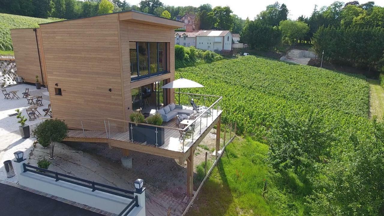 Cottages Antoinette Chigny-les-Roses Extérieur photo