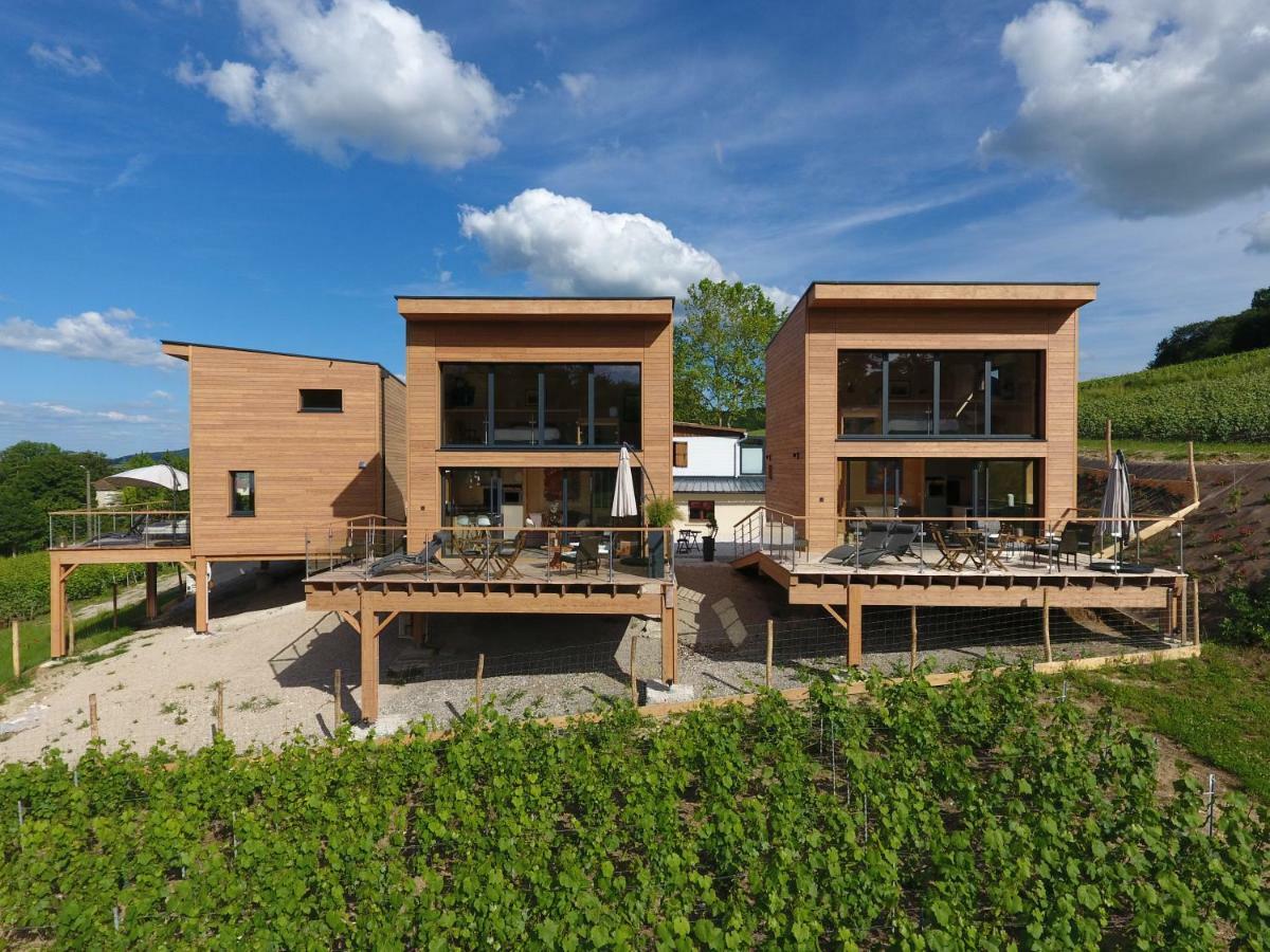 Cottages Antoinette Chigny-les-Roses Extérieur photo